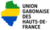 uniongabonaisedeshautsdefrance.eu